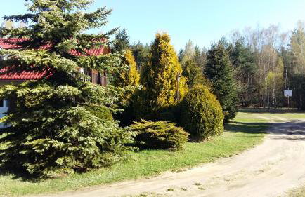 Agroturystyka Pod Klonem - Foto 36