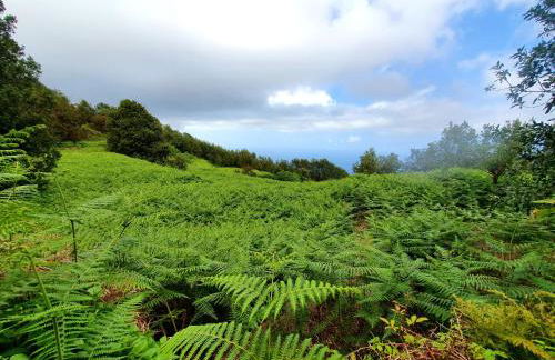 Mirador de Encantos Playa San Marcos - Foto 33