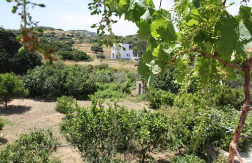 Kalypso Apartments - Foto 13