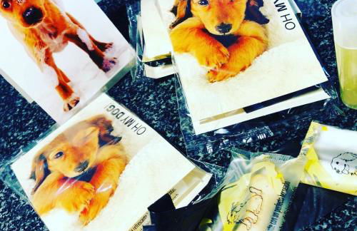 A Carballeira do Tambre - Foto 18