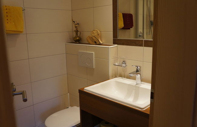 Apart Frühstückspension Stark Paznaun - Foto 59