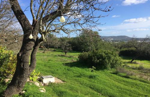 Attractive Portuguese Farm With Modern Decoration - Foto 59