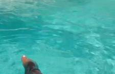 Residência Pádua - Foto 15