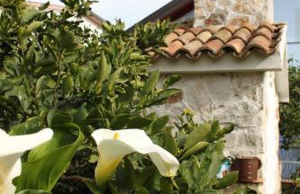 Apartman Nada - Foto 18