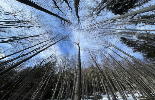 Attractive Apartment in Rokytnice nad Jizerou Near Ski Area - Foto 73