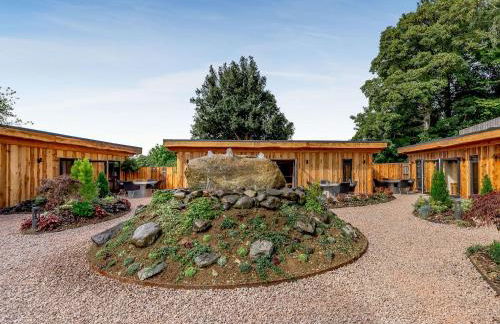 Daffodil - Uk40266 - Photo 9