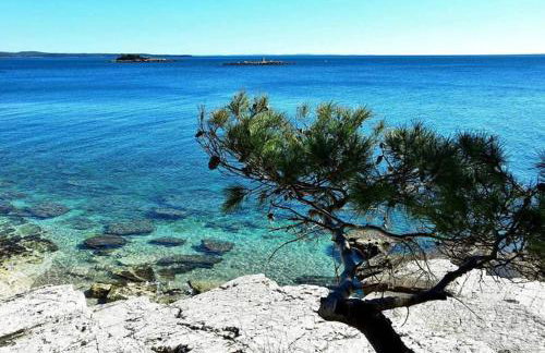 Villa Maria Tereza - Foto 19