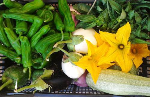 Marco & Andrea Agriturismo Collepina - Foto 19