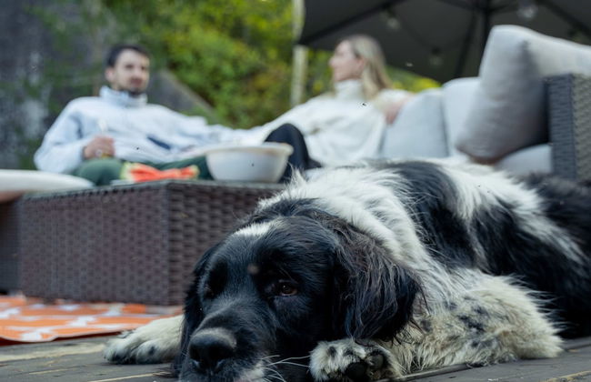 Le Rocher Spa Lac Par Paddleboard - Foto 5