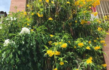 A Joia de Olinda - Foto 28