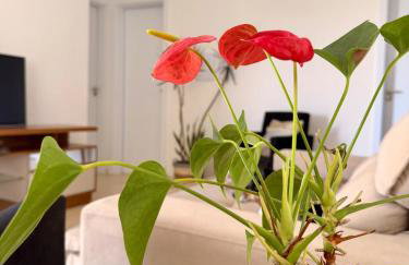 Casa em local tranquilo em meio à natureza - Foto 17