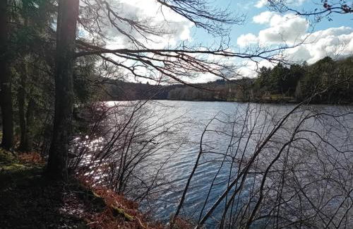 Peaceful Retreat - Foto 17