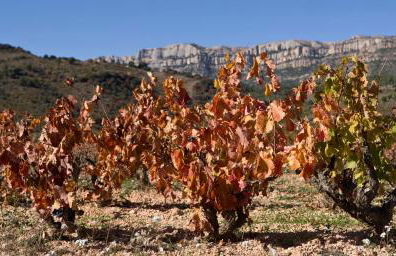 Masia El Riscle - Moli Del Pont - Foto 58