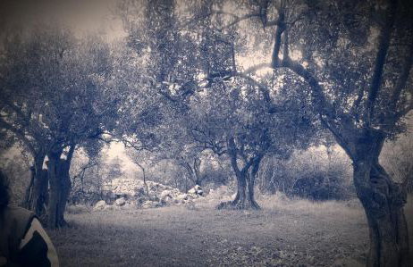 Apartment Adrijana - Foto 13