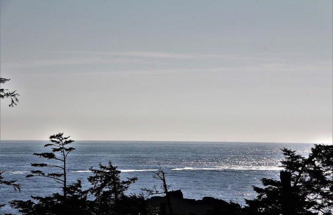 Pacific Rim Retreat - Photo 20