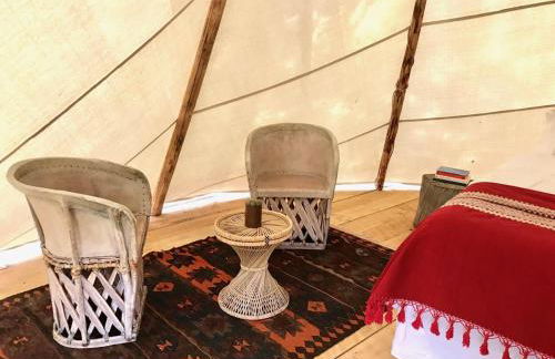 Taos Goji Farm & Eco-Lodge Retreat - Foto 39