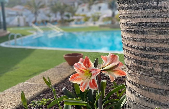 Apartamentos Malibu Park - Foto 25