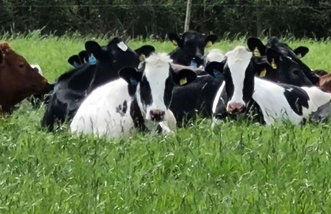 Paddock Cottage - Thorpe Arnold, Melton Mowbray - Foto 14