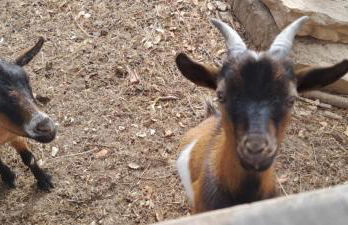 Quinta da Bolota Guest House - Foto 13