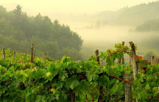 Cascina Desderi - Foto 30