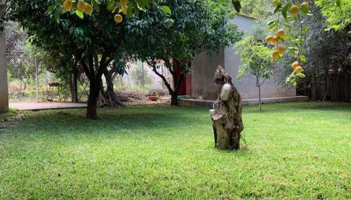 Σπίτι στο Ρίο Πατρών με κήπο - Detached House In Rio With Garden - Foto 2, Garden