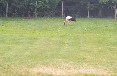 Kuća za odmor BIĐ - Foto 25