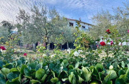 Quinta das flores - Foto 20