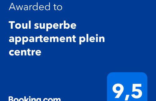 Toul superbe appartement plein centre - Foto 17