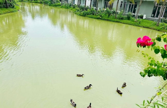 Blue Sea Hue Hotel - Foto 39