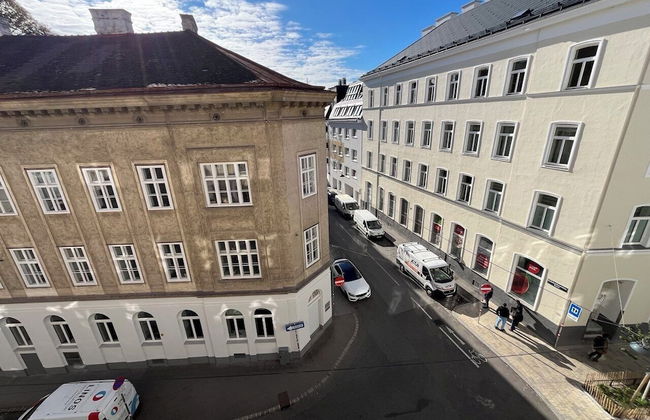 Orange Palm - Foto 35