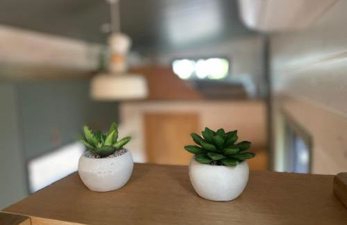 Tiny House am Ranziger See - Foto 22