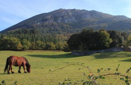 Casa Rural Areano - Foto 47
