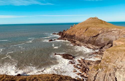 Oystercatcher, Pityme - Foto 18