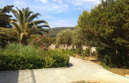 Apartment Tasha - Foto 3