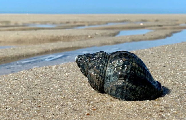 Schatz Comfortable Holiday Residence - Foto 11