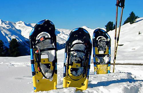 Residence Flora - Photo 33