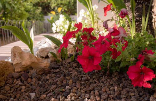 Villa Filipinas ,CITY CENTER -ETV10310 - Photo 51