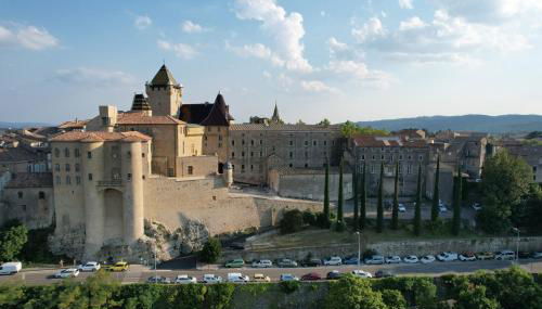 Gîte 3 "le Canal de Baza" aux Magnolias - Foto 3