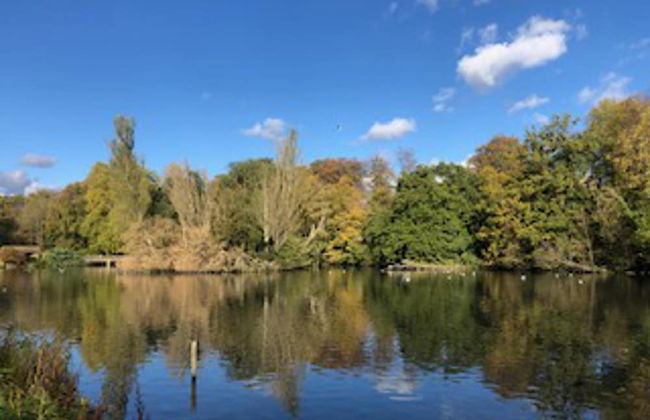 Lovely and Comfortable 1-bed Apartment in Bromley - Foto 18