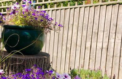 Linden Suite - Foto 52