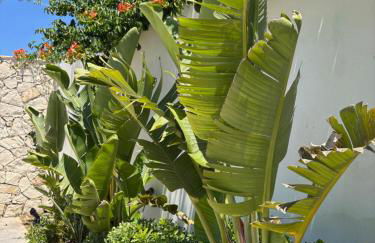 Ayïa suites - Foto 18