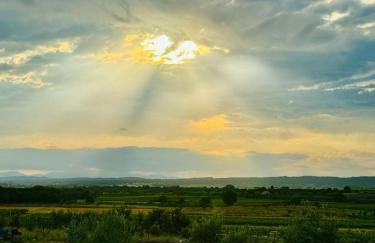 Maison Barban - Photo 24