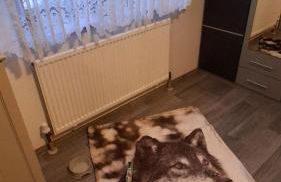 Haus Kalli - Foto 22