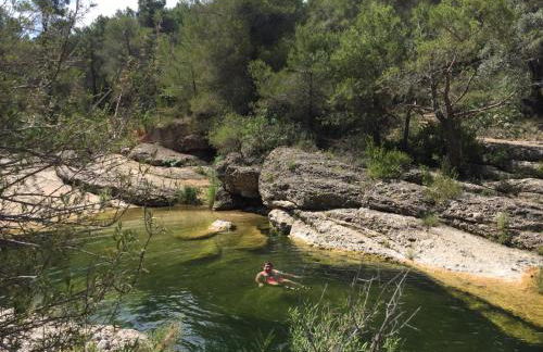 El Racó de les Grases - Foto 33