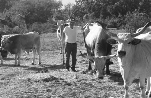 Fattoria Bio L'A Ceccoli - Foto 31