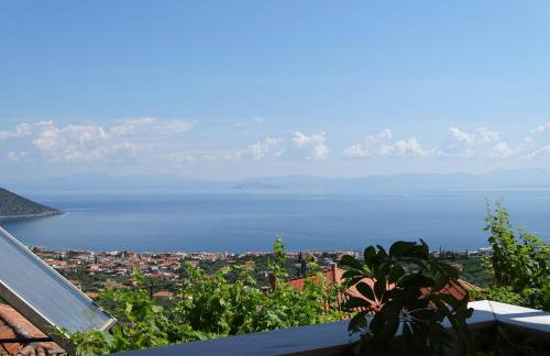 MATAS HOUSE - Foto 8