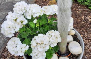 Ferienhaus Bine - Foto 14