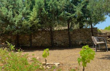 AMPELIA KYTHIRA - Foto 78