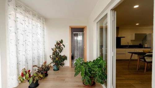 Casa da adega - Foto 1