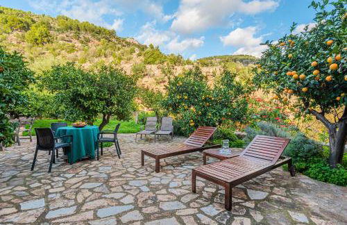 Se Teulere - Foto 22